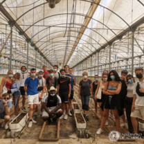 Students inside a greenhouse