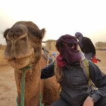 New camel friends in the desert