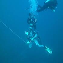 Diver
