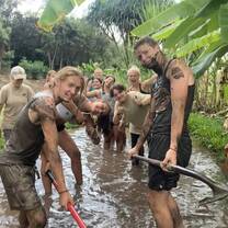 Digging in the Taro Fields