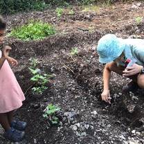 Working in the Garden in Zanzibar