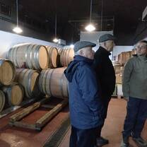 Students visiting a winery in Madrid