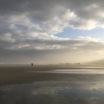 Beach on the North Island
