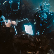 Divers survey the kelp forest