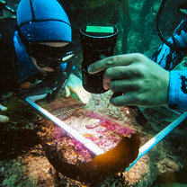 Divers survey a quadray
