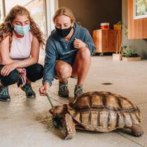 students animal conservation