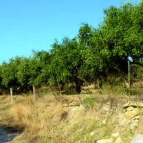  Agriculture & Viticulture