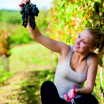  Agriculture & Viticulture