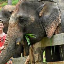 Do Right by Elephants