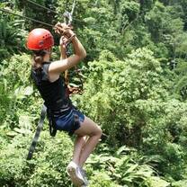 Rainforest Ziplining