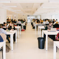 Students studying on campus