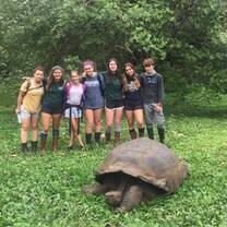 Giant Tortoise 