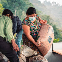 Coffee Grower