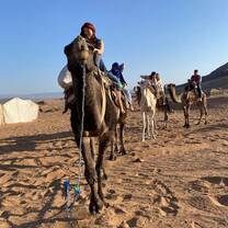 Enjoying the landscape in Moroccan's Sahara.
