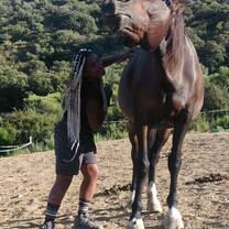 Volunteer at the Horse Project in Andalusia