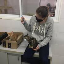 Volunteer playing with a cat at the Animal Welfare Project