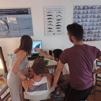 Marine Conservation Project