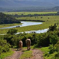 Southern Africas Landscape