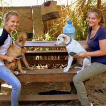 Animal Care Tanzania