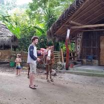 Volunteer at the ecological farm community