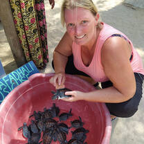 Caring for Sea Turtles