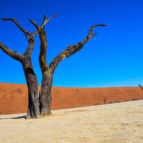 Dead Vlei Namibia