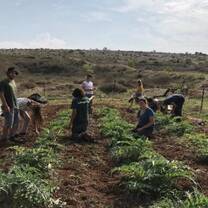 Participants learning in the field