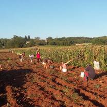 Farm Work