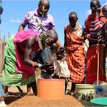 Samburus planting a tree