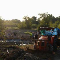 Ashram Volunteer 
