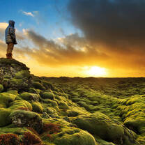 Iceland Landscape