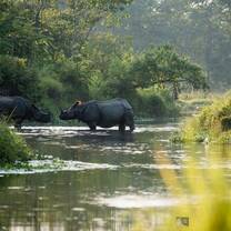 Chitwan Nationalpark