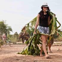 Farmwork Thailand