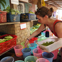 Preparing Meals for the Monkeys