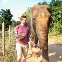 Walking with an Elephant
