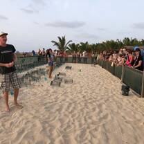 Outreach work with tourists in the sea turtle hatchery