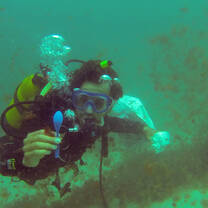 Underwater clean-up