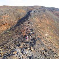 Volunteers and field technicians going to the field site