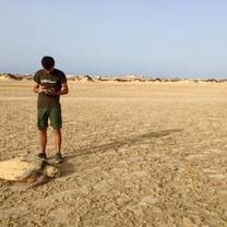 Volunteer with nesting loggerhead turtle at daytime