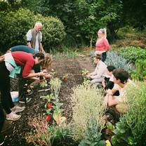 Students working in a garden