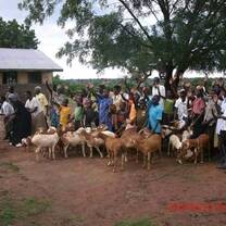 Supporting groups in Income projects