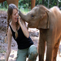 Jungle excursion tours