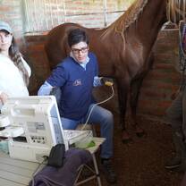 Student intern at a veterinary clinic in Ecuador, learning hands-on animal care under the guidance of local professionals.