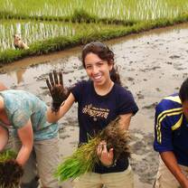 Cambodia: Peace-Building and Conservation