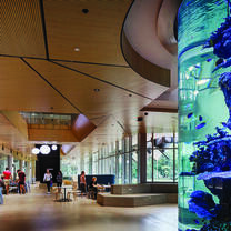 JCU Townsville Campus. Inside the Science Place