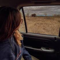 Free Time (Kruger Trip)