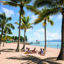 Students sitting under the shade of a palm tree on the beach