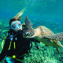 Diver and a turtle