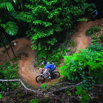 Mountain bikers in the rainforest