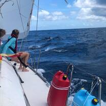 Two teenagers sit on sailboat looking at dolphins jumping in the sea